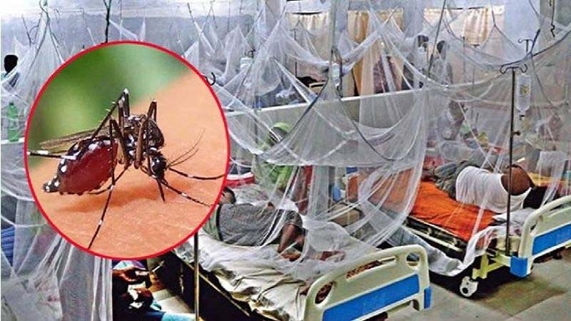 ডেঙ্গুতে ৯ মাসে ২৫০ মৃত্যু, হাসপাতালে ভর্তি ১১৬৩ রোগী