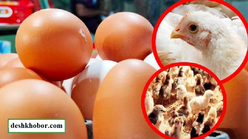 ১৫ দিনে লুট ৫২০ কোটি টাকা 